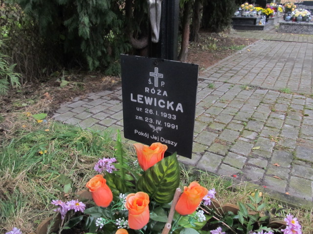 Róża Lewicka 1933 Bibice - Grobonet - Wyszukiwarka osób pochowanych