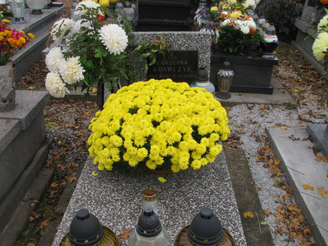 Grób Karolina Krawczyk